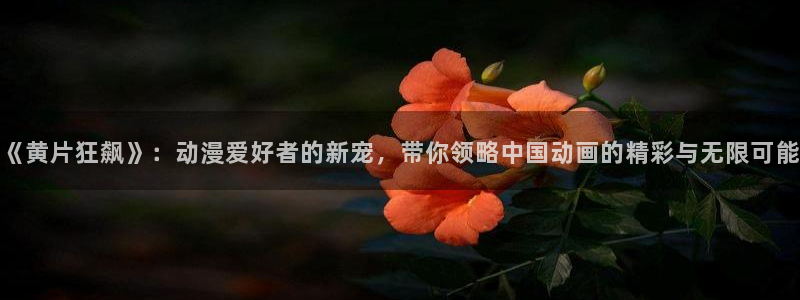 风车动漫网6：《黄片狂飙》：动漫爱好者的新宠，带你领略中国动画的精彩与无限可能