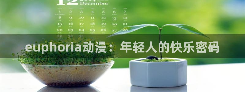 免费观看风车动漫：euphoria动漫：年轻人的快乐密码