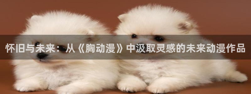 风车动漫(p)_专注动漫的门户官网：怀旧与未来：从《胸动漫》中汲取灵感的未来动漫作品