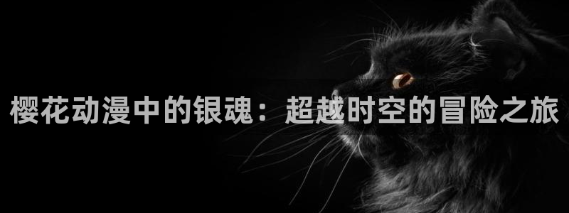风车动漫呢：樱花动漫中的银魂：超越时空的冒险之旅