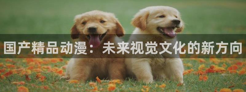 风车动漫www：国产精品动漫：未来视觉文化的新方向