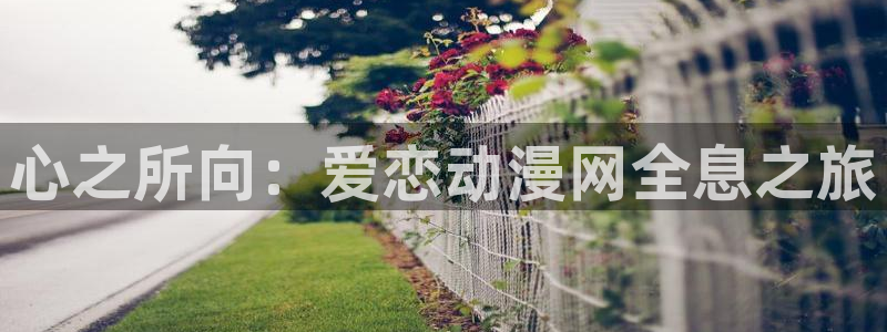 盾之勇者成名录风车动漫：心之所向：爱恋动漫网全息之旅