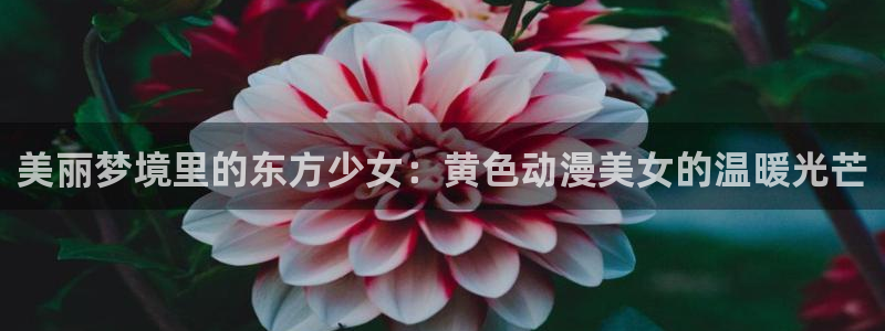 another风车动漫：美丽梦境里的东方少女：黄色动漫美女的温暖光芒